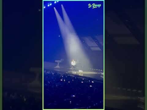 STROMAE FAIT TWERKER un CHIEN sur SCÈNE !
