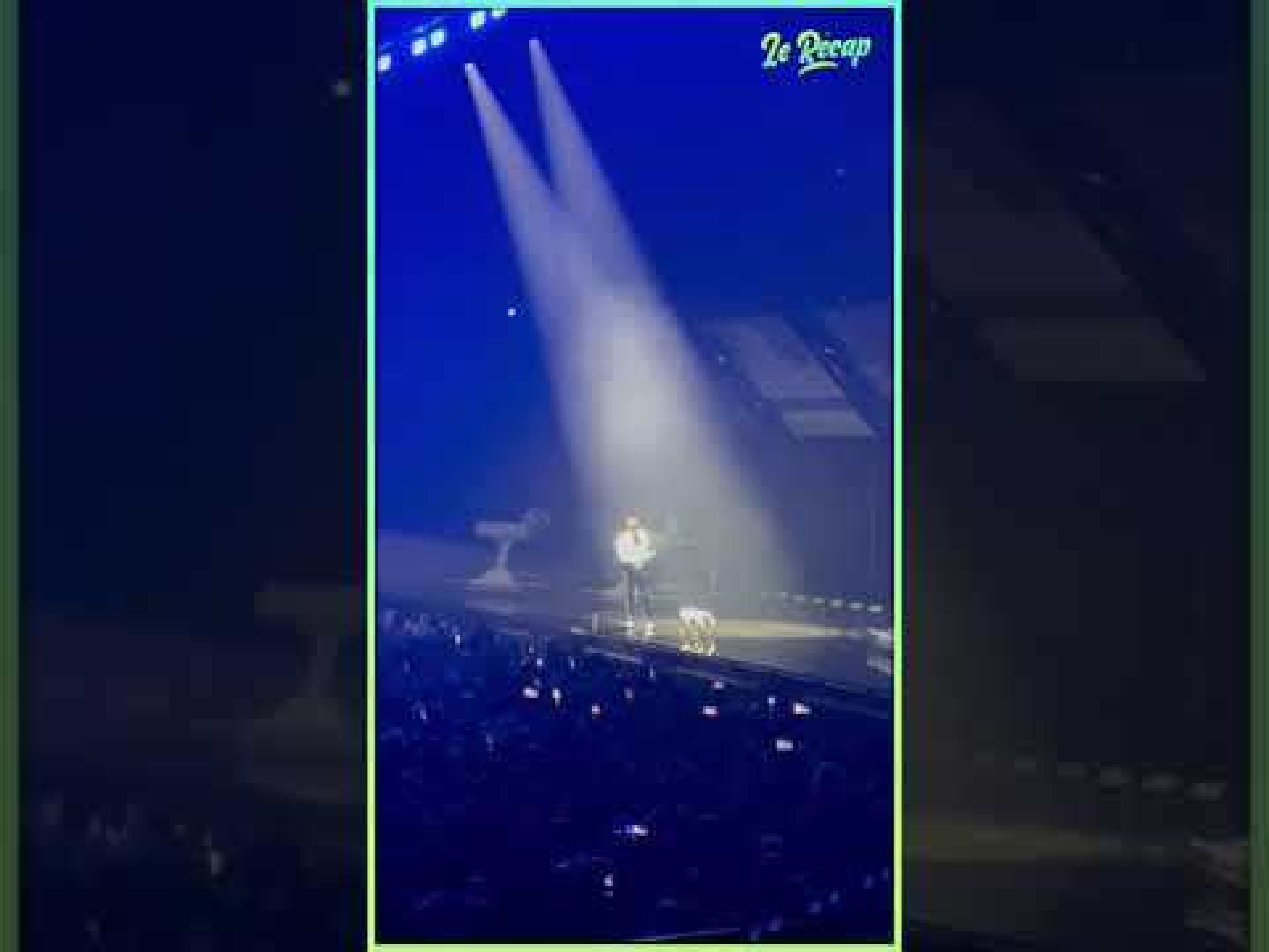 STROMAE FAIT TWERKER un CHIEN sur SCÈNE !