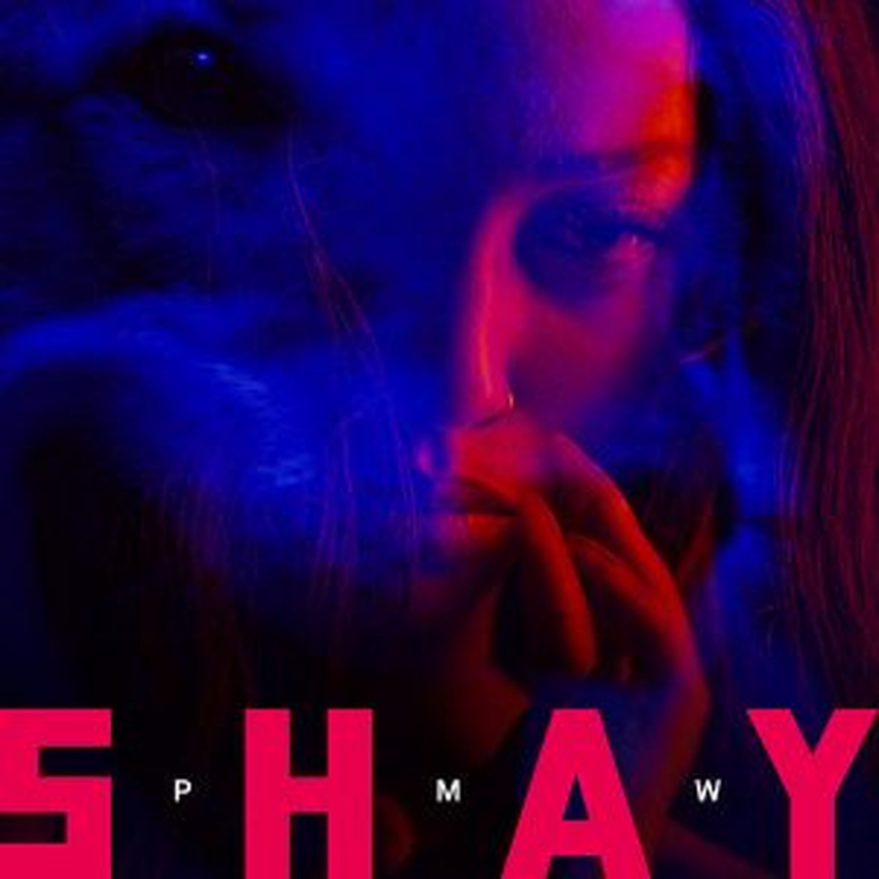 Playlist - Shay "PMW"