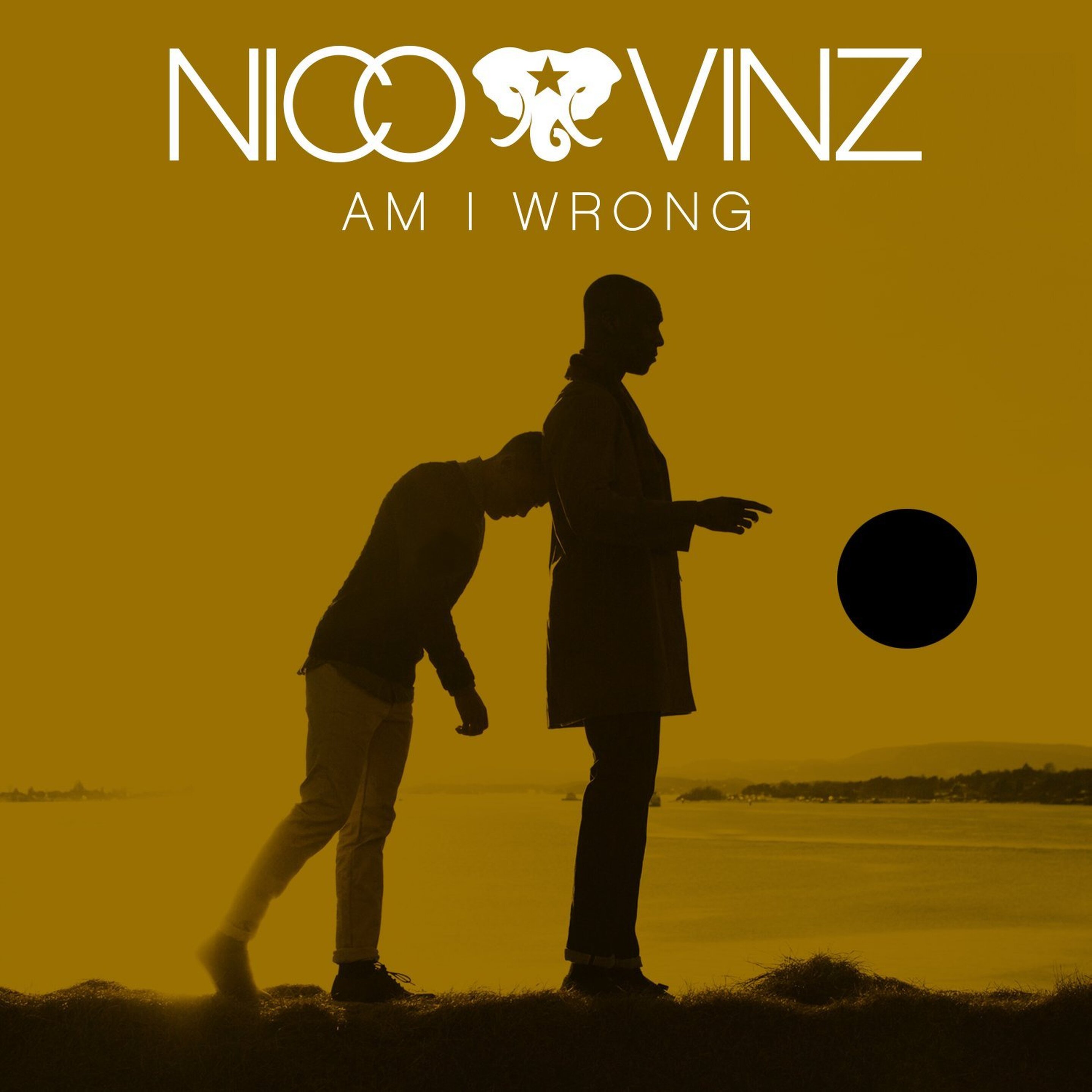 PLAYLIST : NICO AND VINZ "AM I WRONG"