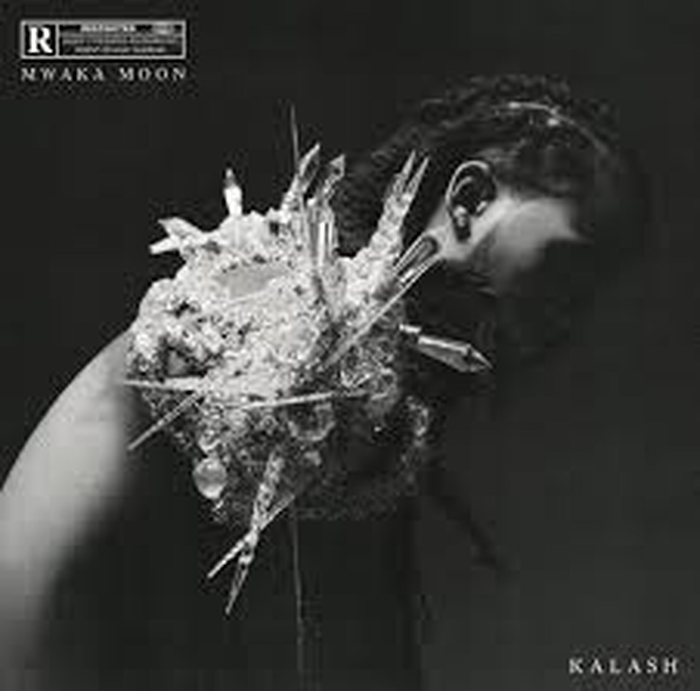 Un nouvel album pour Kalash ! (Tracklist)