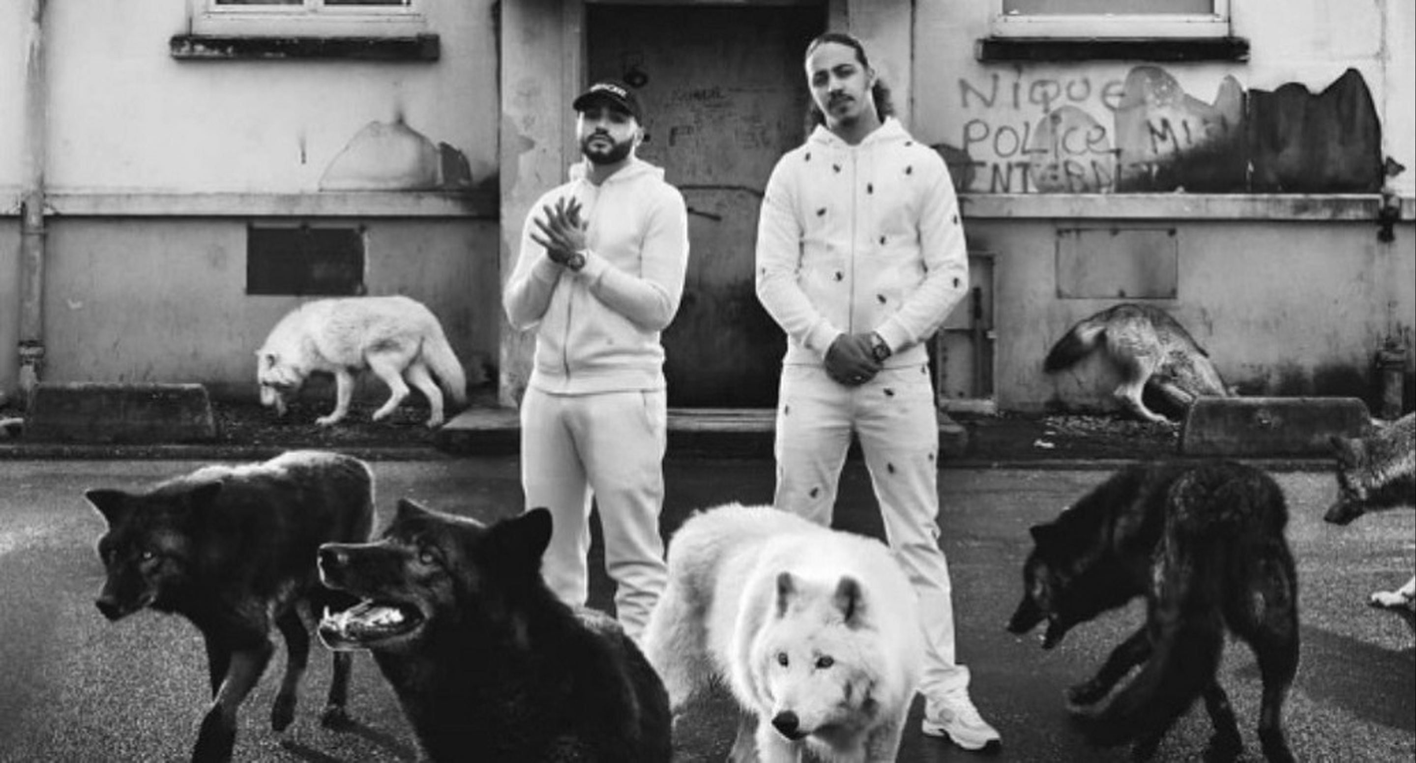 Le retour de Djadja & Dinaz ! 