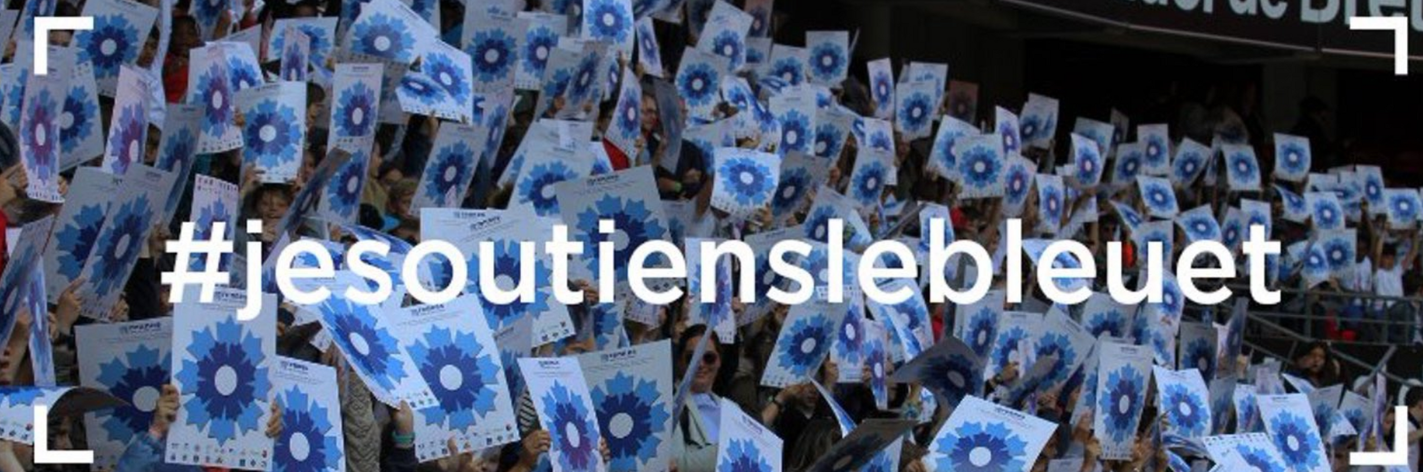 La campagne du Bleuet de France est lancée !