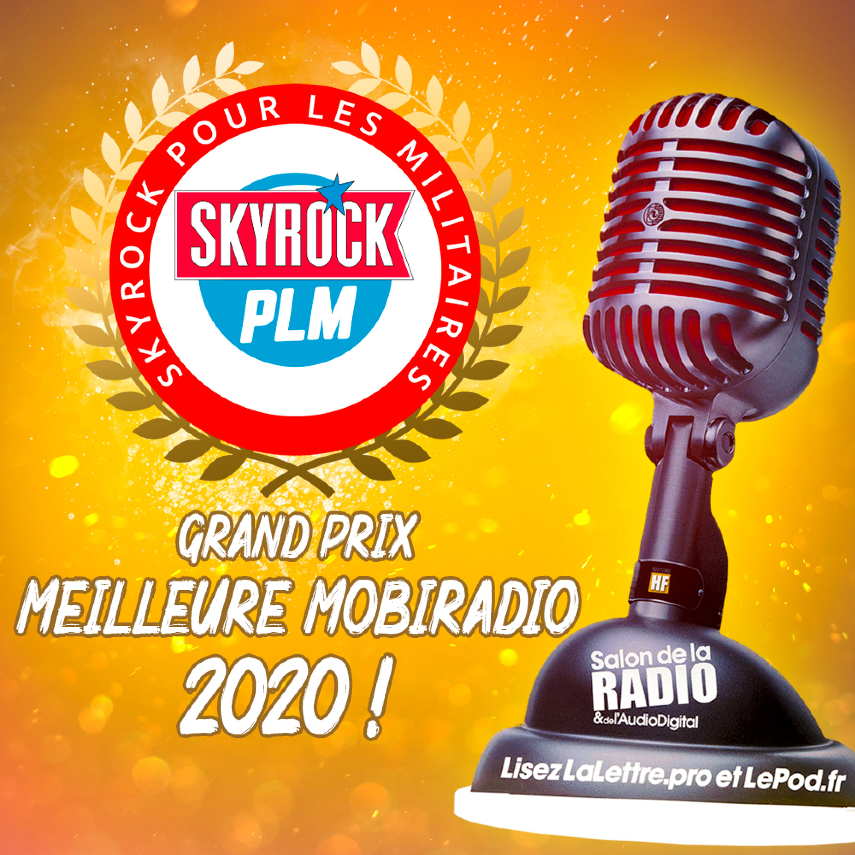 Skyrock PLM remporte le Grand Prix Webradio !