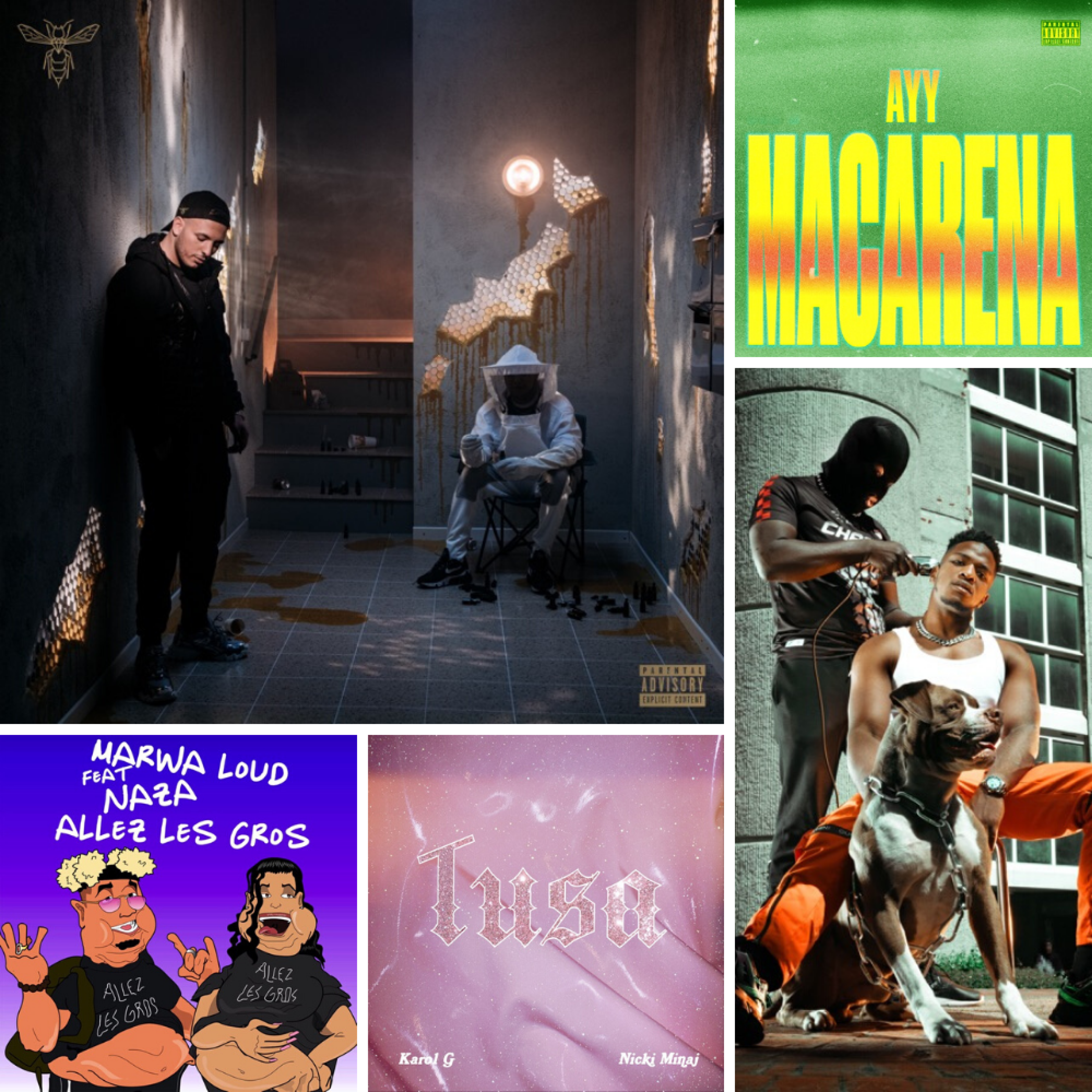 Nouveautés en playlist !