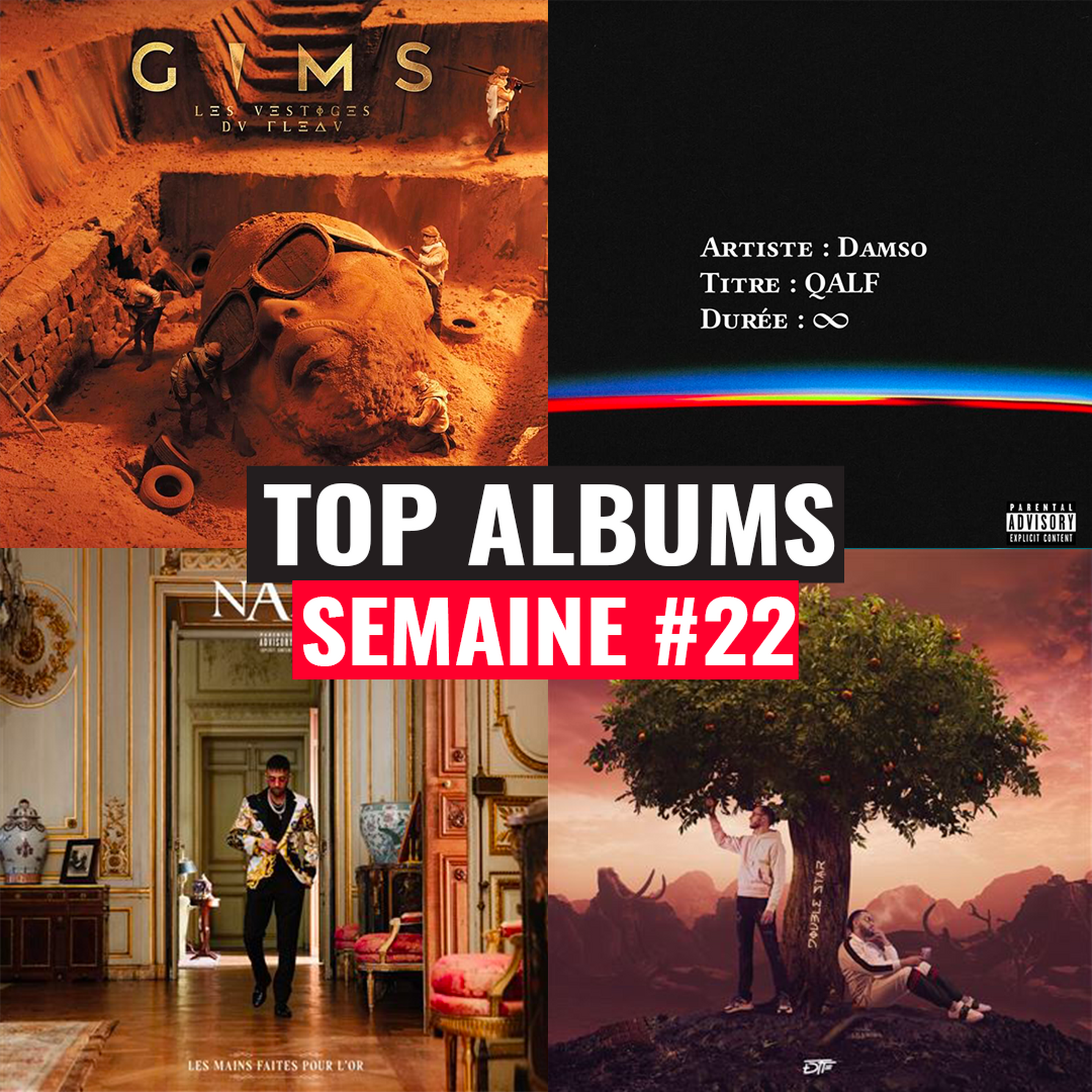 TOP ALBUMS #22 : GIMS, DAMSO, DTF...