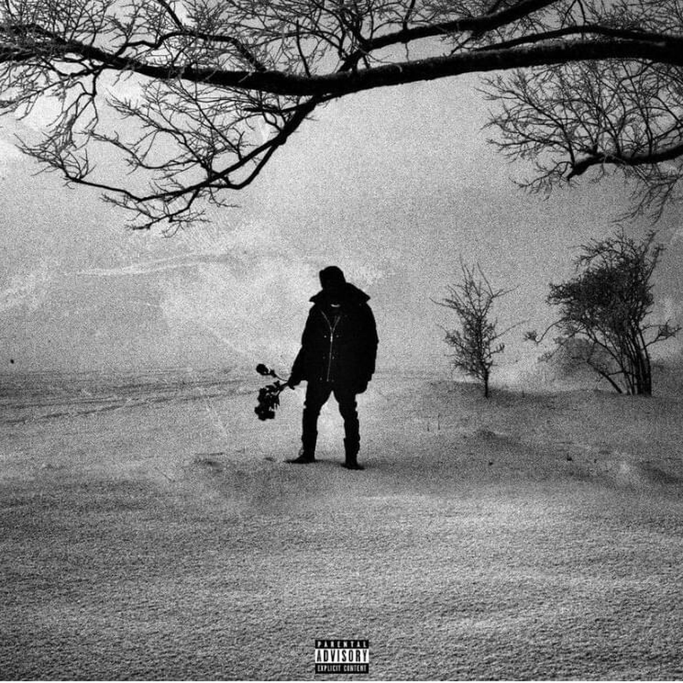 LE TOP ALBUMS DE LA SEMAINE : JOSMAN AU SOMMET ! 