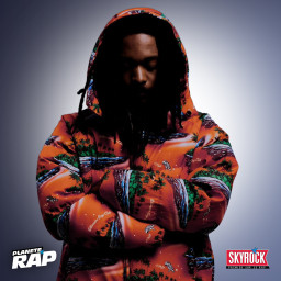 Jeune Lion - BABYLONE BRÛLE #4