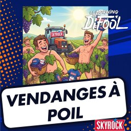 Vendanges insolites à Caramani : la vengeance des agriculteurs