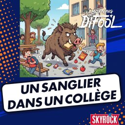 Un sanglier dans un collège