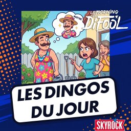 Les dingos du jour