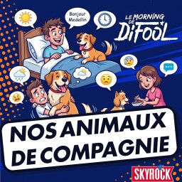 Nos animaux de compagnie