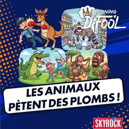 Les animaux pètent des plombs !